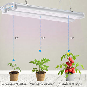 Grow Light, 2ft T8,150W(6 x 25W, 900W Equivalent), Super Bright, Full Spectrum Sunlight Plant Light, LED Grow Light Strips, Grow Light Bulbs for Indoor Plants,Greenhouse,6-Pack