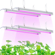 Load image into Gallery viewer, LED Grow Light, 2ft T8,100W(4 x 25W, 600W Equivalent), Super Bright, Full Spectrum Sunlight Plant Light, LED Grow Light Strips, Grow Light Bulbs for Indoor Plants,Greenhouse,4-Pack